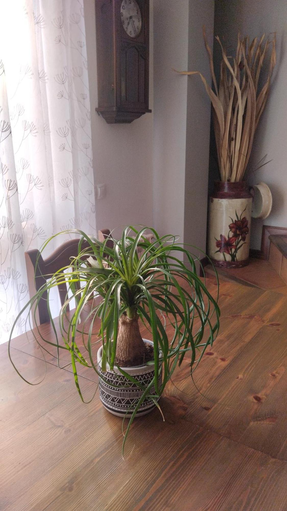 El Balcon De Villapresente 外观 照片